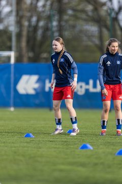 Bild 29 - wBJ Hamburger SV - Eimsbuettler TV : Ergebnis: 4:0